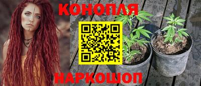 винт Новодвинск